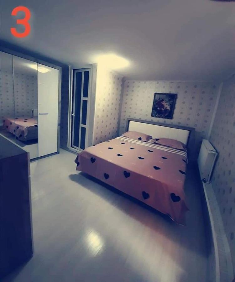 Pensiunea Pelican Tulcea Exterior foto